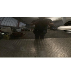 Porte avant gauche RENAULT SCENIC 3