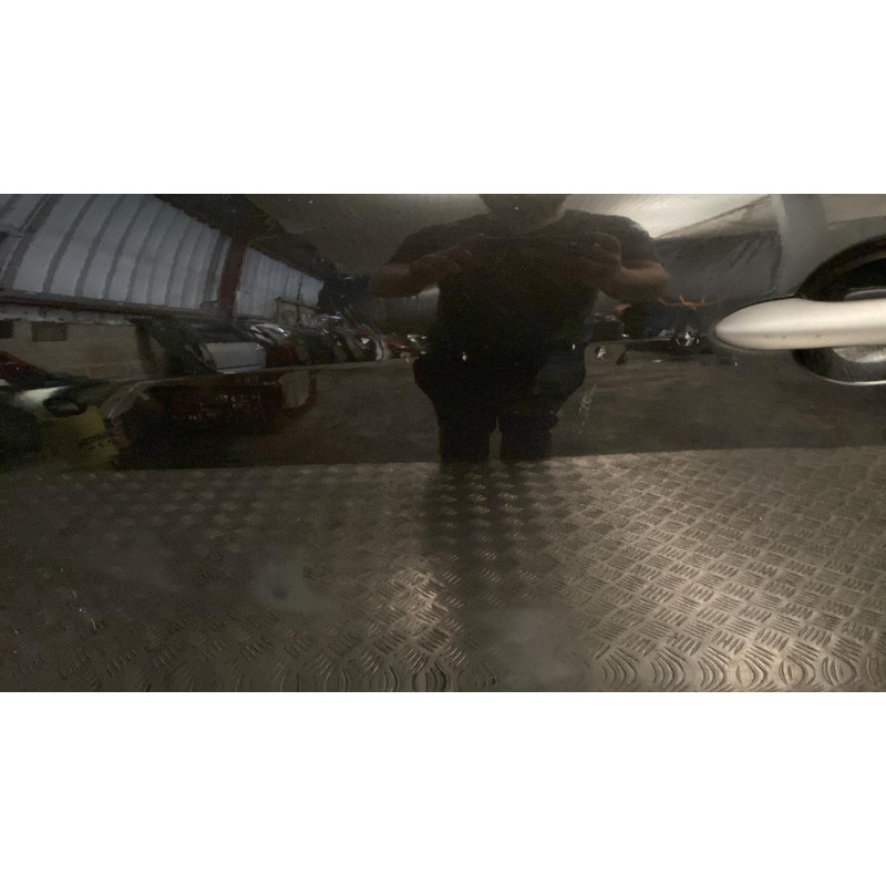 Porte avant gauche RENAULT SCENIC 3 Photo n°3