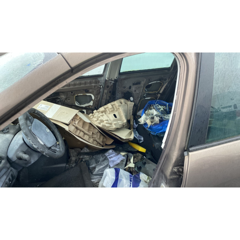 Porte avant gauche RENAULT GRAND SCENIC 3 Photo n°18