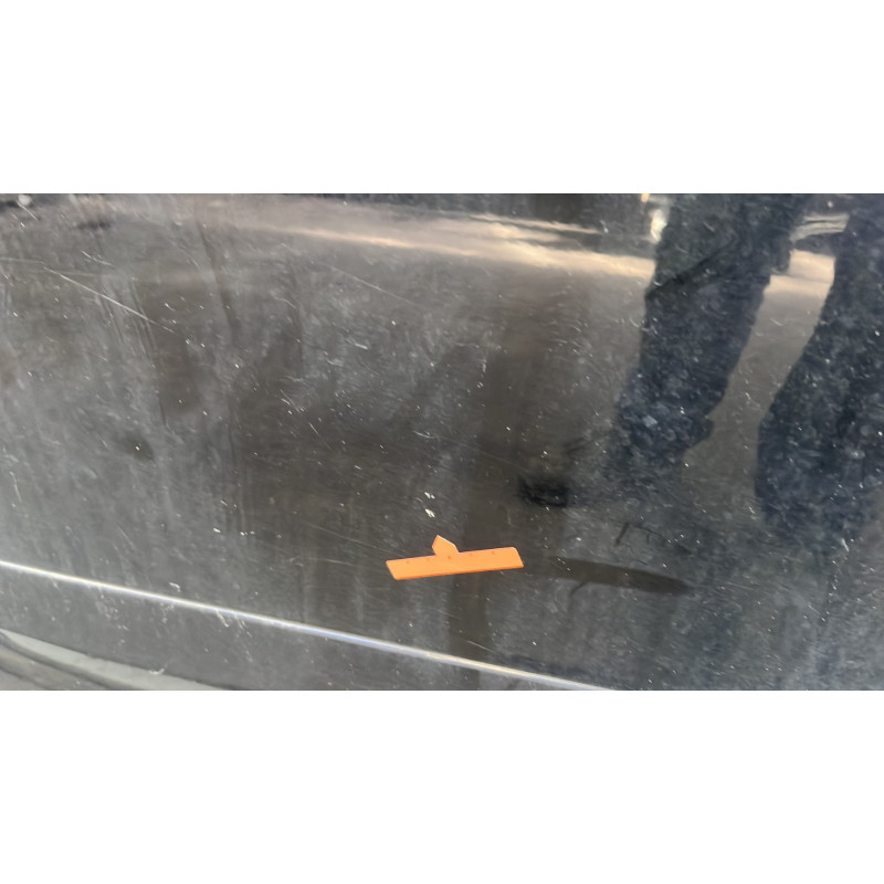 Porte avant gauche RENAULT SCENIC 3 Photo n°3