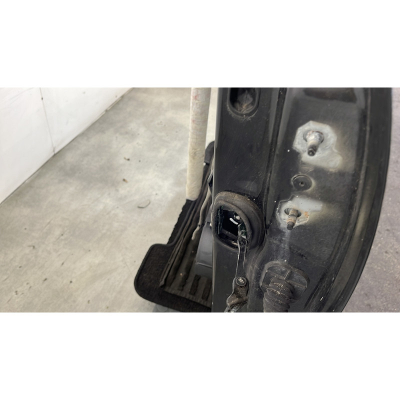 Porte avant gauche RENAULT SCENIC 3 Photo n°6