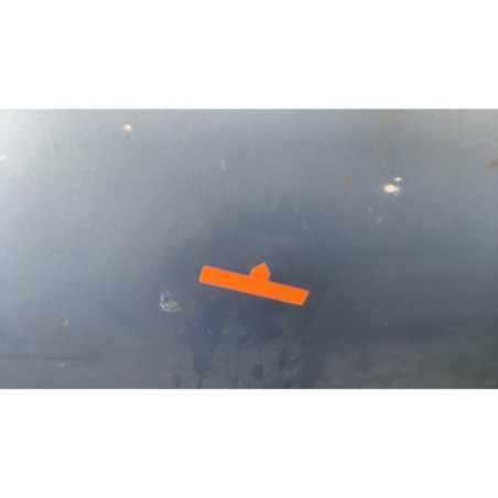 Porte avant gauche RENAULT SCENIC 3