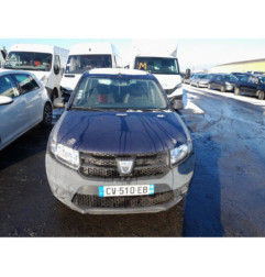 Porte arriere droit DACIA SANDERO 2