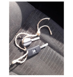 Vitre arriere droit PEUGEOT 307