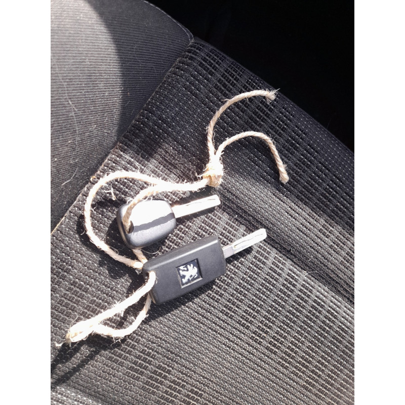 Vitre arriere droit PEUGEOT 307 Photo n°12