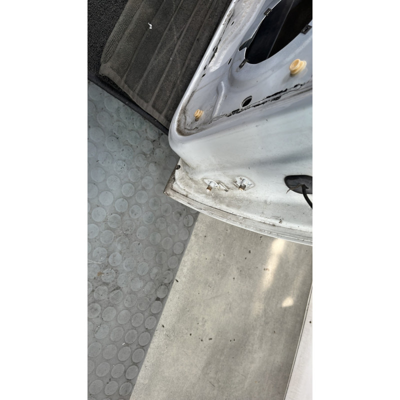Porte avant gauche DACIA SANDERO 1 Photo n°4