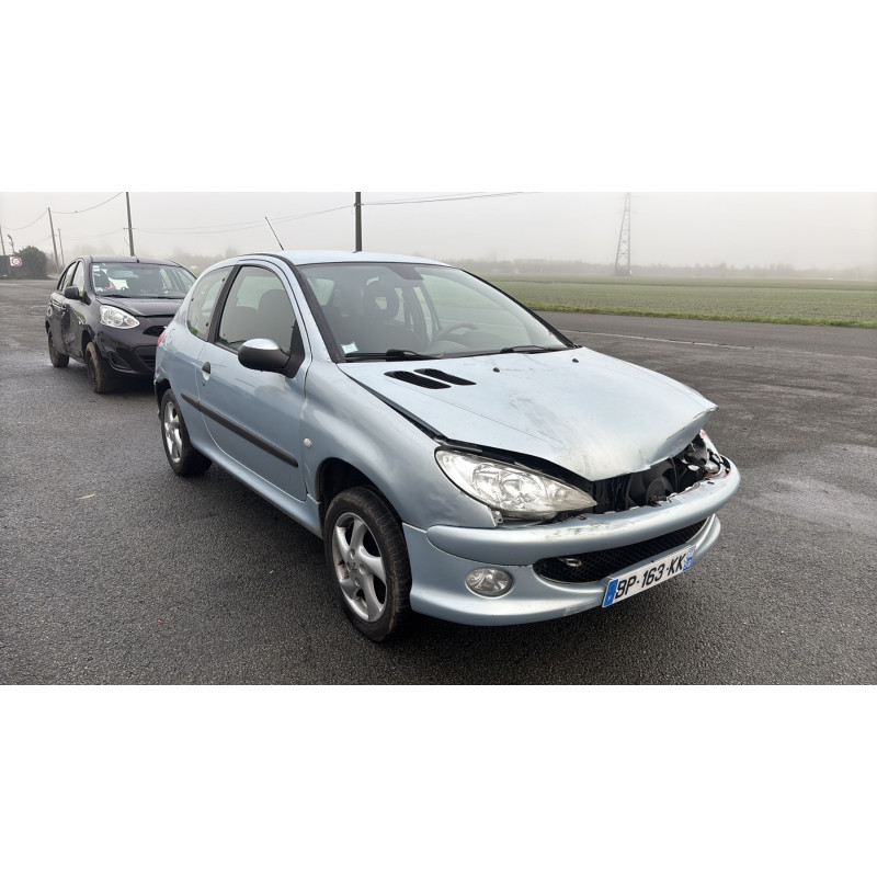 Porte avant gauche PEUGEOT 206 Photo n°6