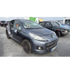 Cremaillere assistee PEUGEOT 207