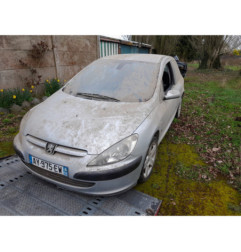 Debitmetre PEUGEOT 307