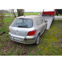 Debitmetre PEUGEOT 307