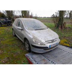 Debitmetre PEUGEOT 307