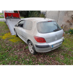 Debitmetre PEUGEOT 307