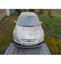 Debitmetre PEUGEOT 307