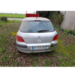 Debitmetre PEUGEOT 307