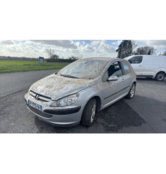Debitmetre PEUGEOT 307