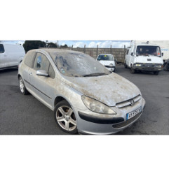 Debitmetre PEUGEOT 307