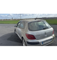 Debitmetre PEUGEOT 307